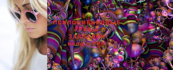 кокаин Белокуриха