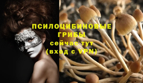 кокаин Белокуриха