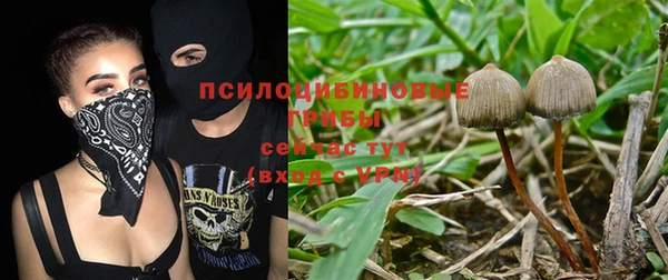кокаин Белокуриха